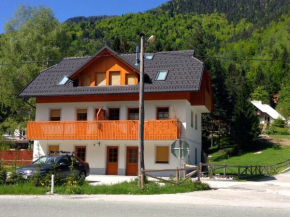 Apartment Brina Kranjska Gora